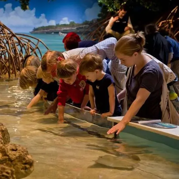 New England Aquarium