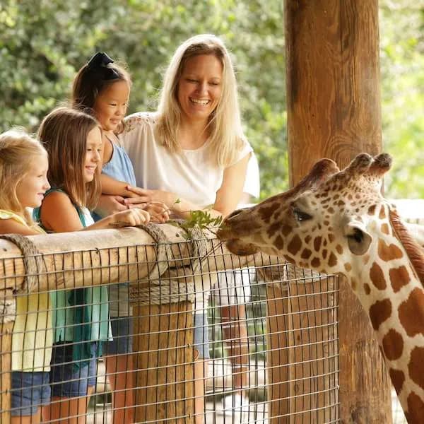 Jacksonville Zoo and Gardens