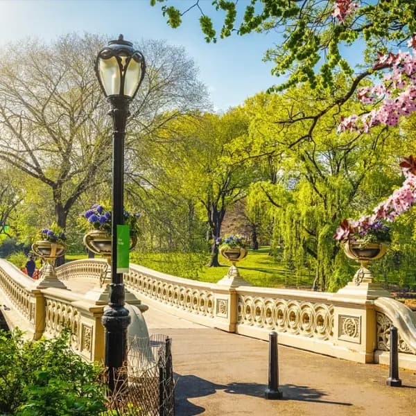 Our Favourite Outdoor Party Venues in New York