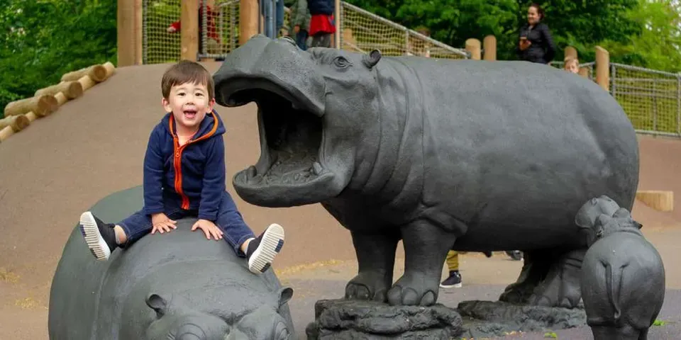 Hippo Playground