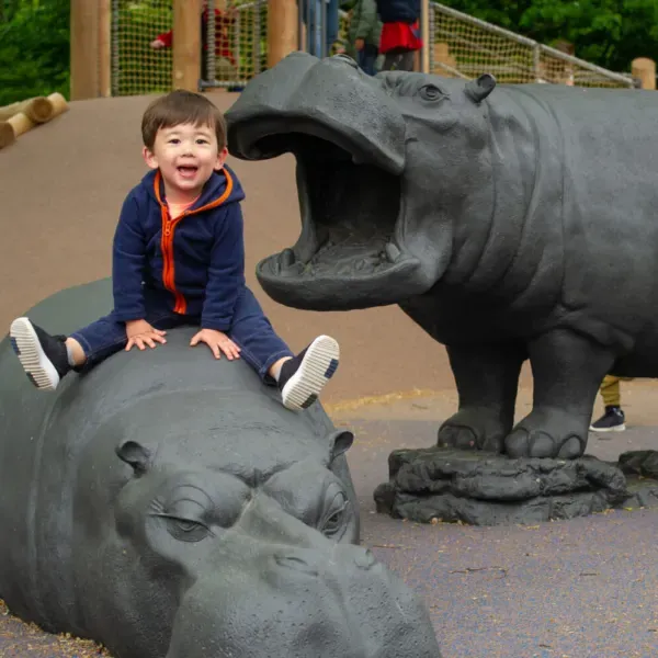 Hippo Playground